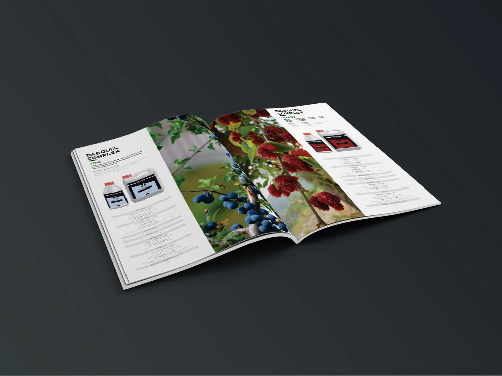 Chemical manufacturer: digital product catalogue — interface detail