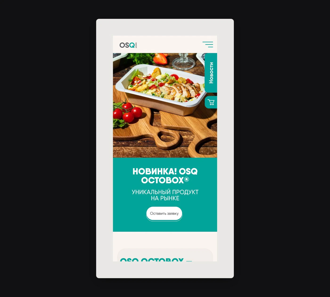 Original OSQ Group mobile product landing composition with food photography and turquoise enquiry area